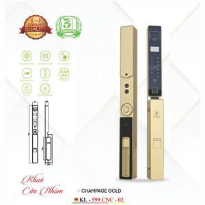 Khóa Điện Tử KASSLER – Mã SP: 599 CNC 02 (APP TUYA) CHAMPAGE GOLD